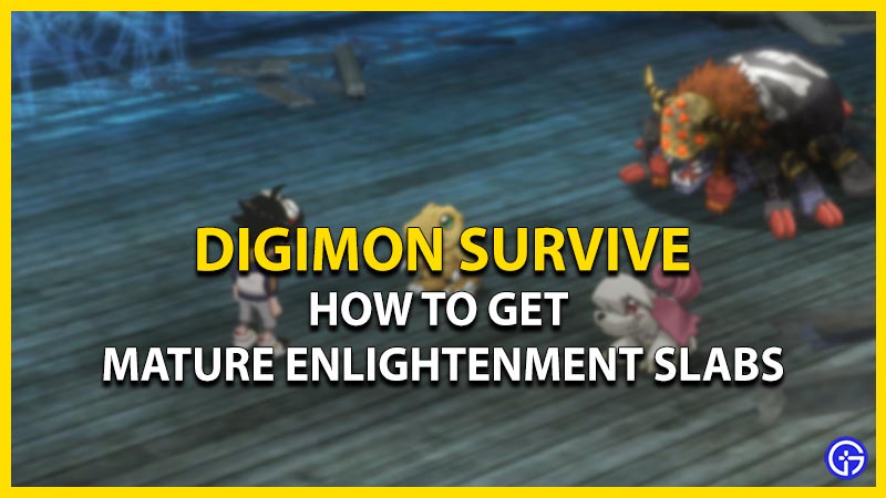 digimon survive how to get mature enlightenment slabs