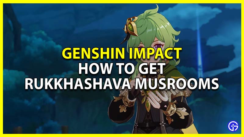 how to get rukkhashava mushrooms in genshin impact