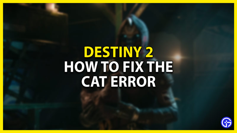 how to fix the cat error in destiny 2