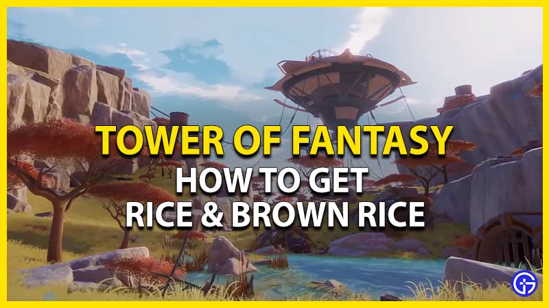 tower of fantasy get rice brown rice