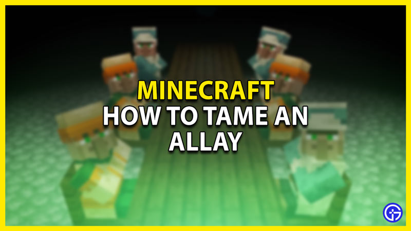 how to tame an allay in minecraft