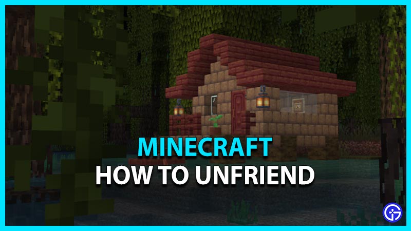 minecraft how to unfriend other players