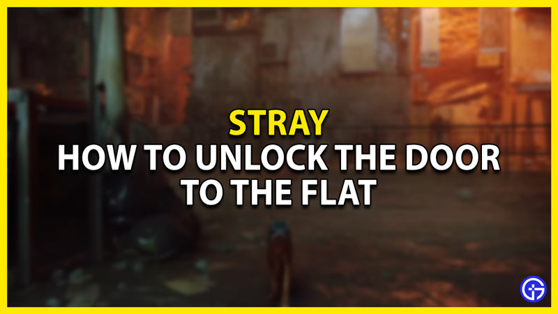 how to unlock the door to the flat in stray chapter 3