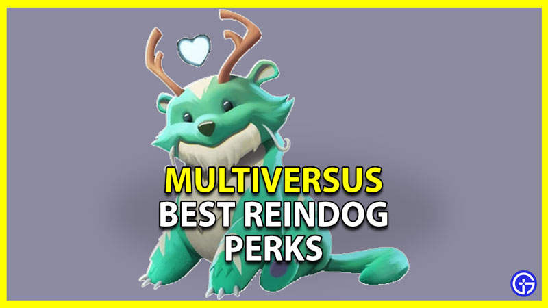 best perks to use with reindog in multiversus