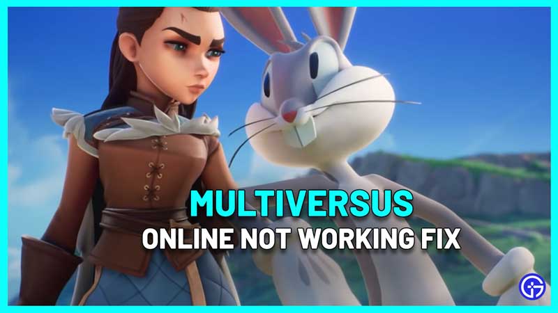multiversus online not working fix