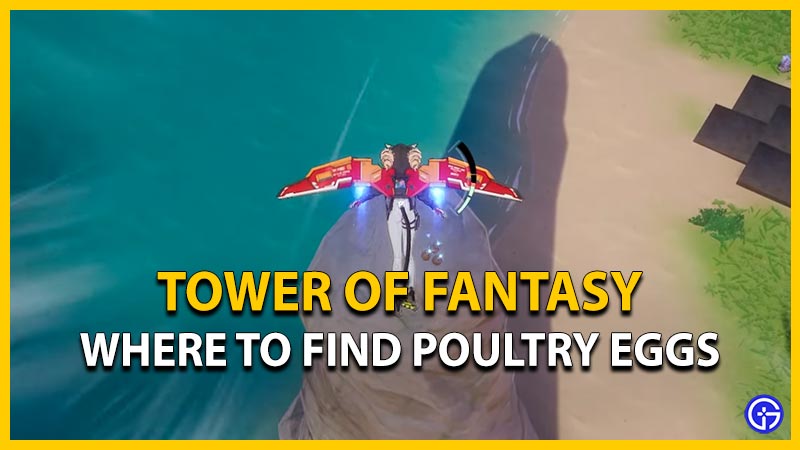 where to find poultry eggs in tower of fantasy