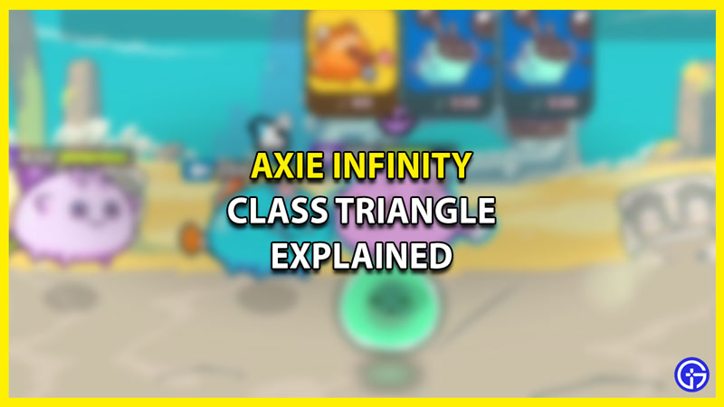 Class Triangle Axie Infinity