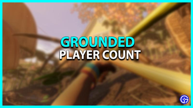 Grounded Player Count