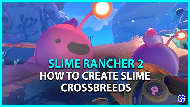 How To Create Slime Crossbreeds In Slime Rancher 2