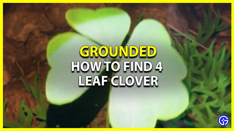 How To Find 4 Leaf Clover In Grounded