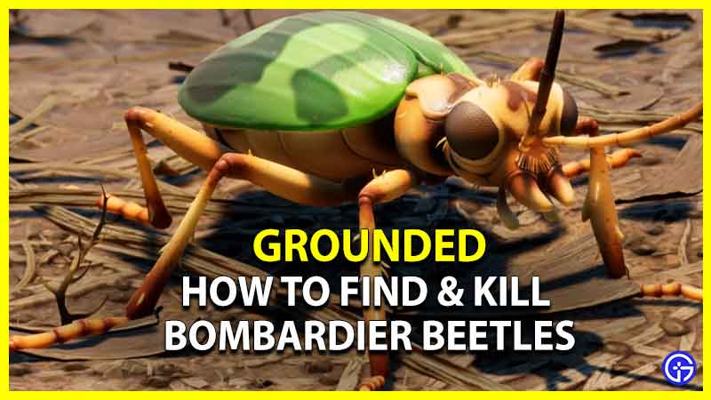 How To Find & Kill Bombardier Beetles In Grounded