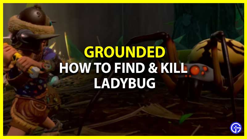 How To Find & Kill Ladybug In Grounded