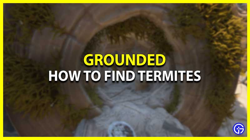 How To Find Termites In Grounded