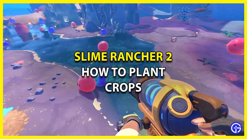 How To Plant Crops in Slime Rancher 2