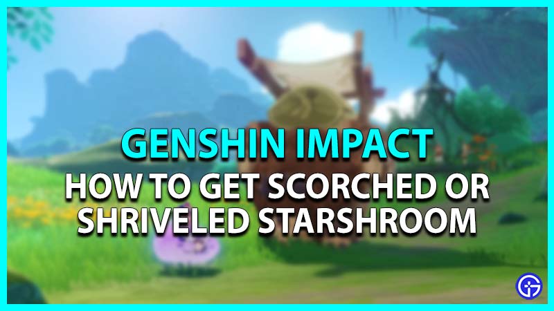 Scorched Starshroom Genshin Impact