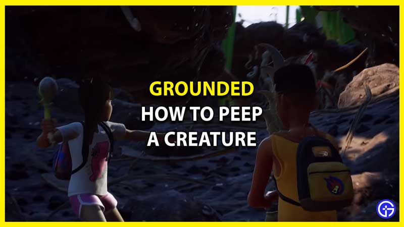 How to Peep a Creature in Grounded