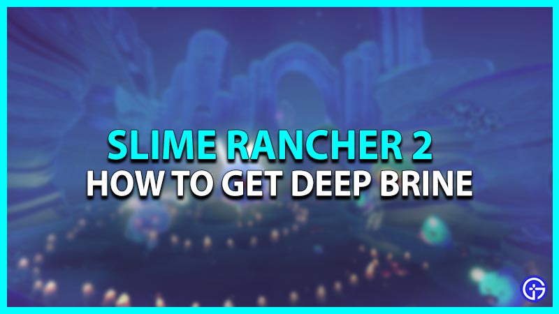 Slime Rancher 2: How To Get Deep Brine