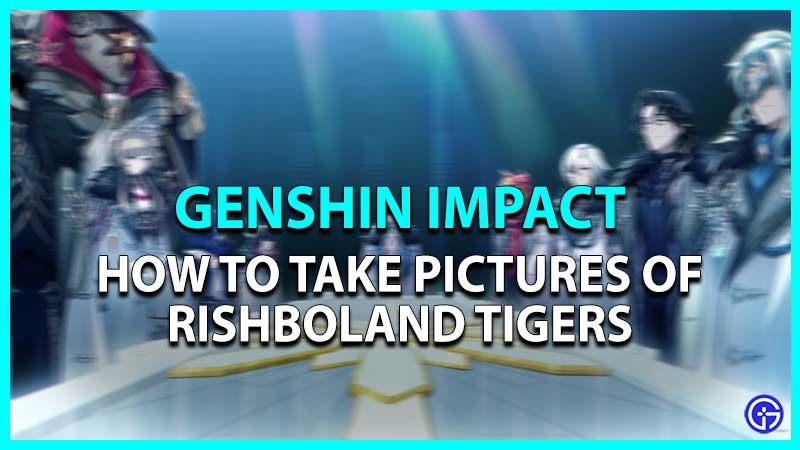 Rishboland Tiger Pictures Genshin Impact