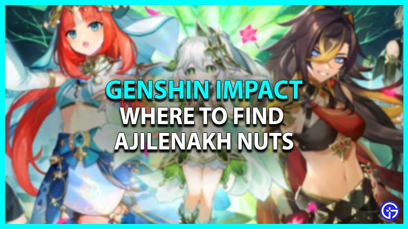 Where To Find Ajilenakh Nuts In Genshin Impact