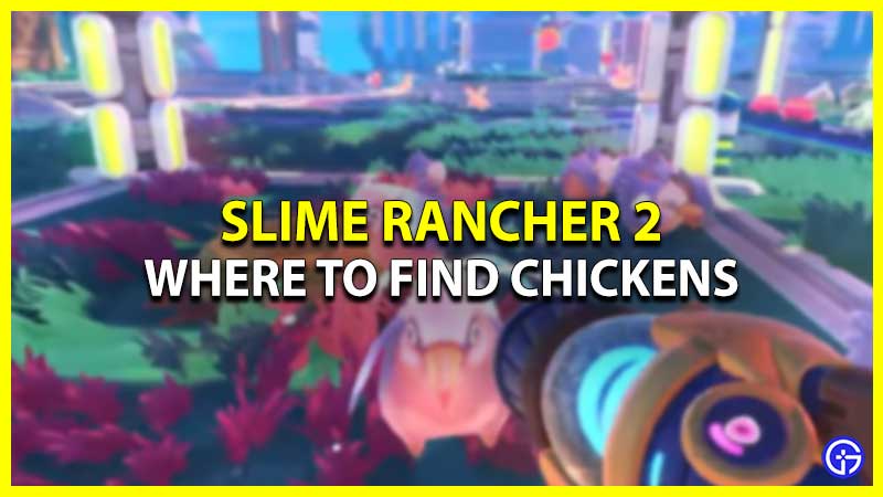 Where To Find Chickens In Slime Rancher 2