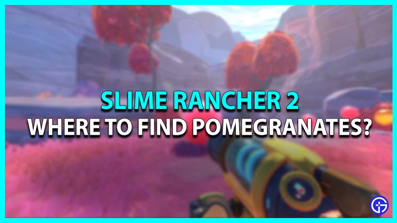 Pomegranates in Slime Rancher 2
