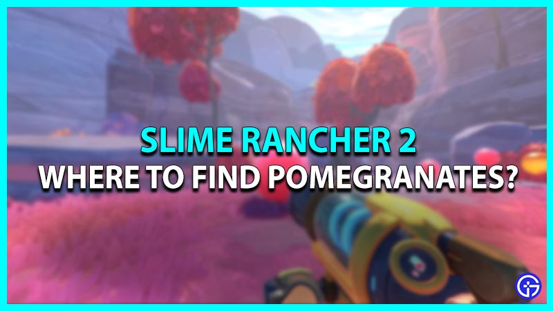 Slime Rancher 2: Where to Find Pomegranates – GameSkinny