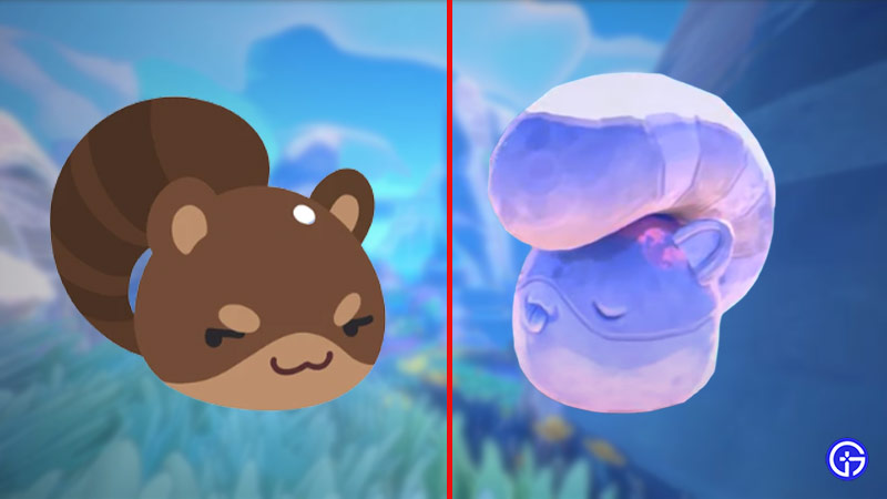 Slime Rancher 2 Ringtail Slimes: Where to find them and what they eat