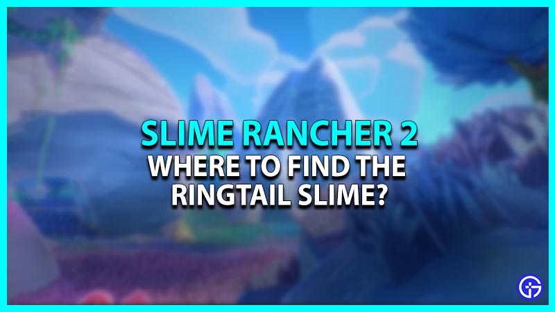 Ringtail Slime in Slime Rancher 2