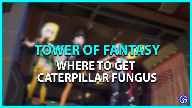 Where to get Caterpillar Fungus in Tower of Fantasy