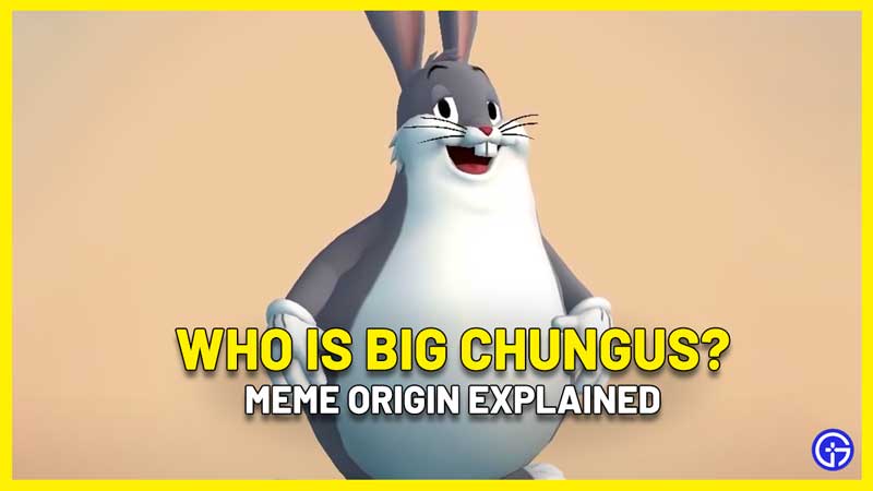 Who Is Big Chungus multiversus character