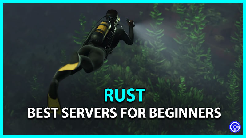 rust best beginners servers