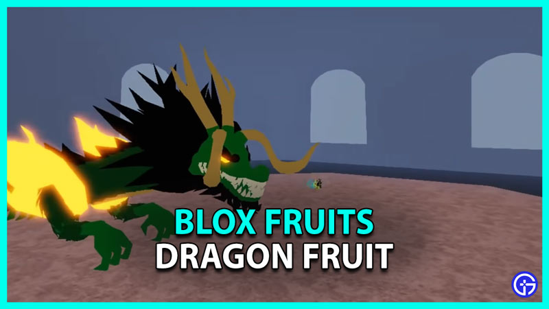 Blox Fruits What Is The Dragon Fruit