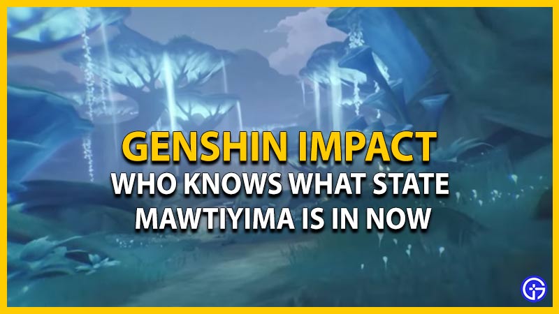 who knows what state mawtiyima is in now genshin impact