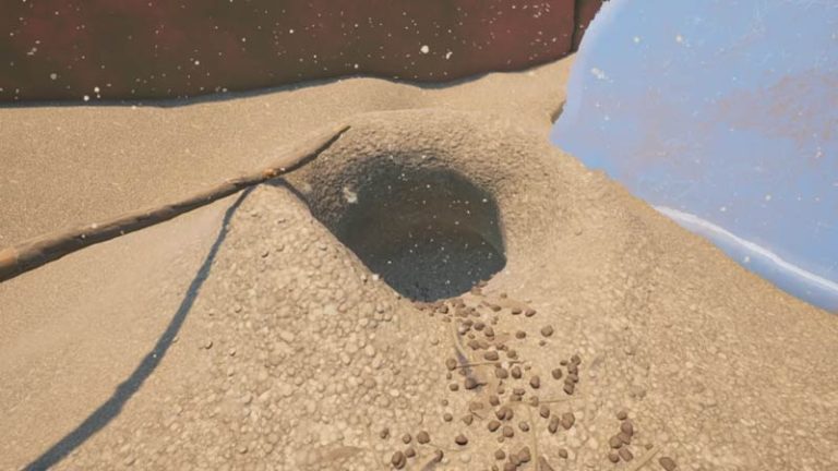 Where To Find The Black Ant Hill In Grounded - Gamer Tweak