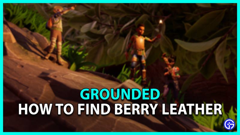 Grounded How To Find Berry Leather