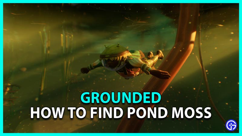 Grounded How To Find Pond Moss