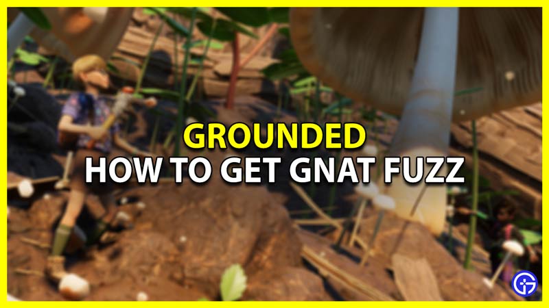 Grounded How To Get Gnat Fuzz