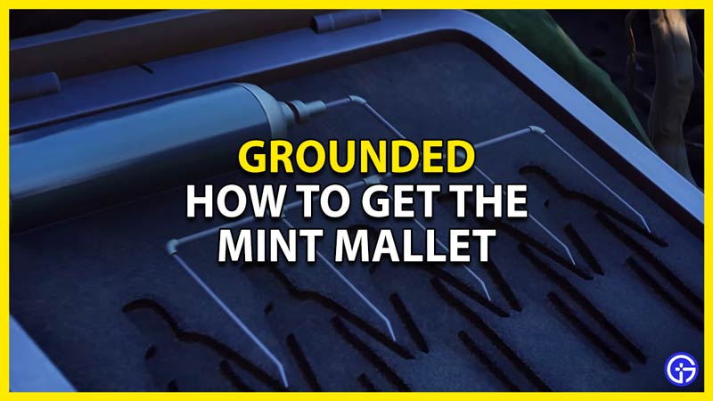 how to get a mint mallet or mint mace in grounded