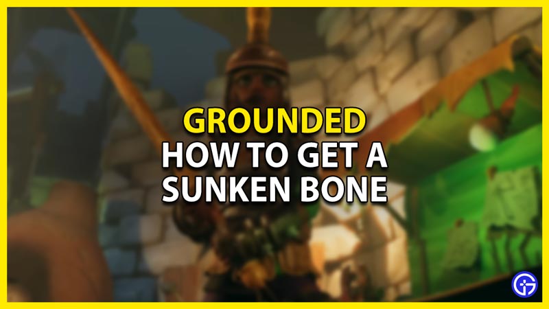 how to get a sunken bone in grounded