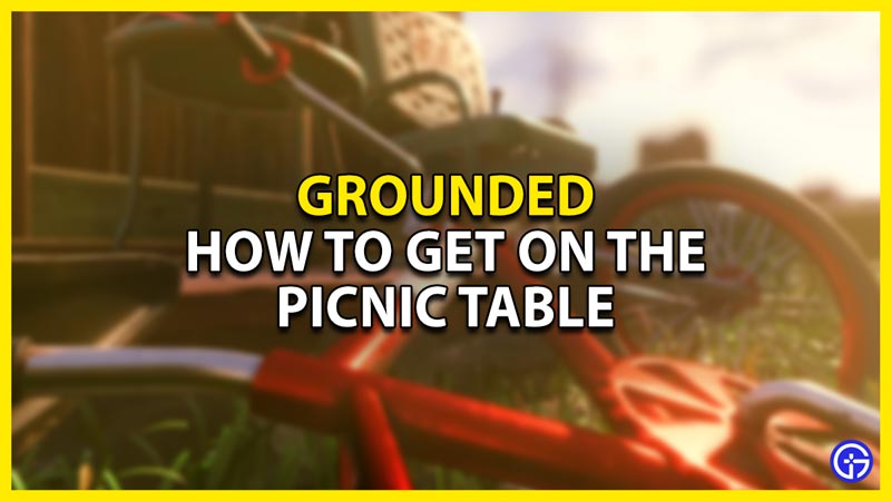 how to get on the picnic table in grounded
