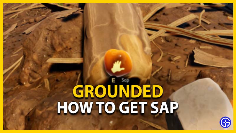 grounded get sap