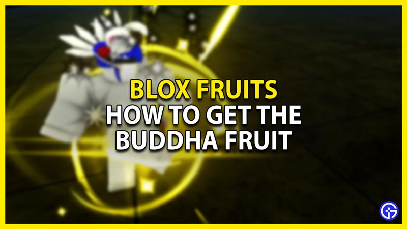 how to get the buddha fruit in blox fruits