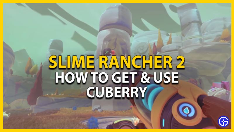 slime rancher 2 cuberry