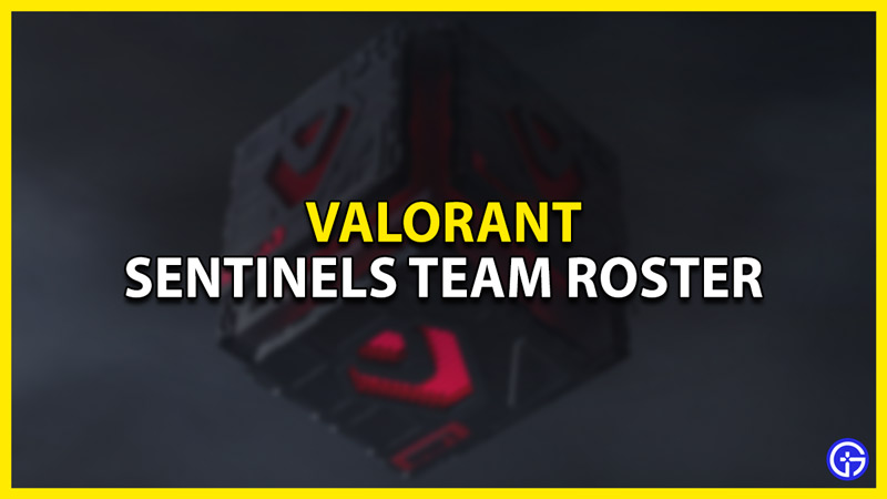 sentinels valorant team roster