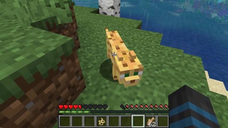 how-to-tame-an-ocelot-in-minecraft-1-19-gamer-tweak