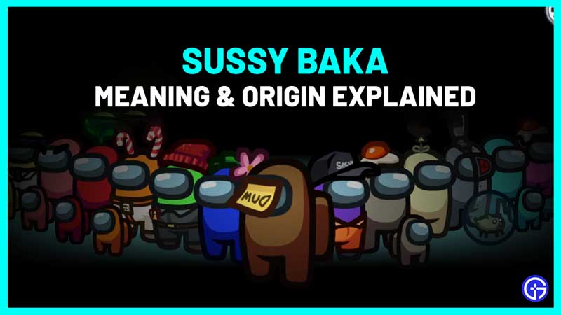 what does sussy baka mean explained