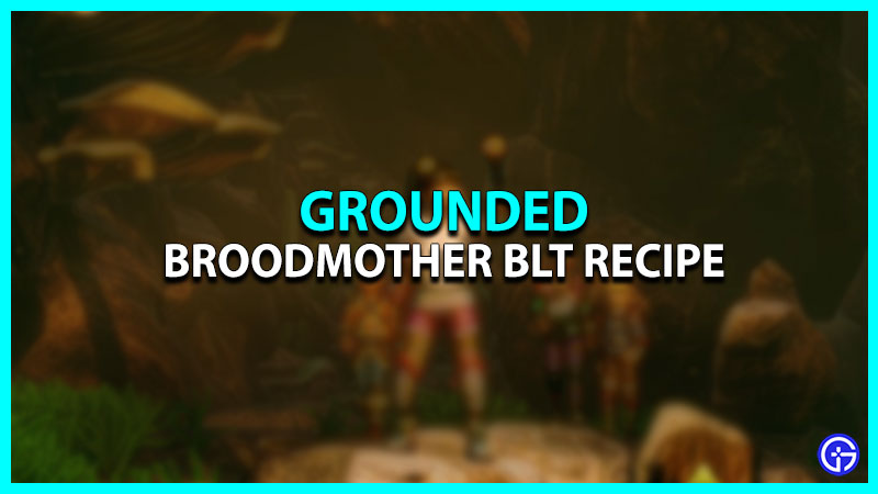 Broodmother BLT Recipe in Grounded