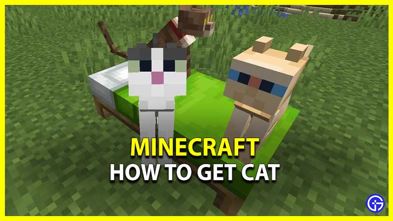 How To Get Cat In Minecraft