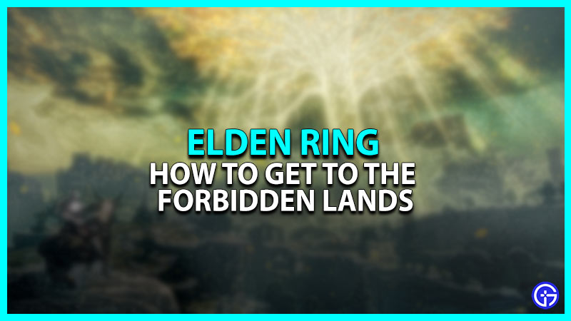 How to get to the Forbidden Lands in Elden Ring