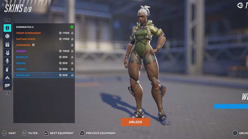 Overwatch 2 All Types of Skins